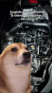 ▶️🤣¿Te identificas 🤭? 

¡Tranquilo 😮‍💨, que, en Cedepa, tenemos repuestos y suministros para tu carro, con la calidad y precios que no afectan a tu décimo 😎!

Somos Cedepa 😎

📍Matriz: Calle 110 y avenida 102.
📍Sucursal: Avenida 113 y calle Las Acacias.
📲 0995541378

#CedepaEsGarantía
#AutopartesManta #RepuestosManta #PromocionesCedepa