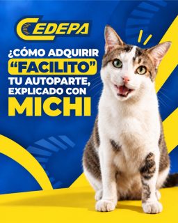 ▶️ ¡Comprar tus autopartes de calidad nunca había sido tan fácil! ¡Y si lo dice MAX 🐱 es poque hay muchas pruebas, cero dudas 😎🚘!

Sin complicarte. Sin tener que venir hasta nuestros locales. Y con la asesoría de nuestro equipo para encontrar la opción adecuada para tu vehículo 👌🏻.

¿Necesitas una autoparte? Hazle caso a Max 😸👇

Escríbenos por WhatsApp
📲 0995541378

¡#SomosCedepa… brindarte soluciones para ti y tu vehículo es nuestra pasión 💪🏼!	

#CedepaEsGarantía #AutopartesManta #RepuestosManta #RepuestosEcuador